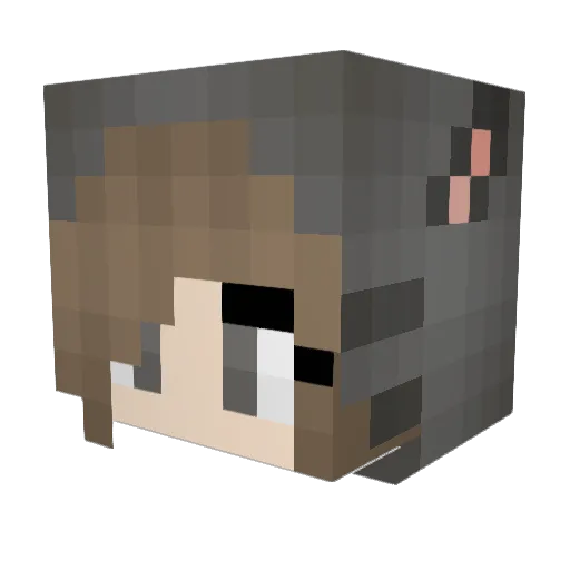 Gav Minecraft avatar head, 3D render