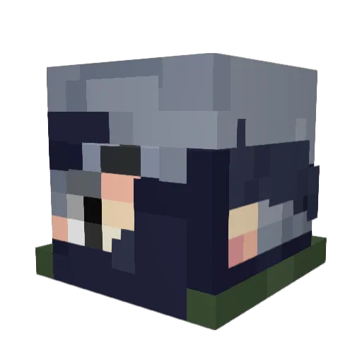 Gaveroo Minecraft avatar head, 3D render