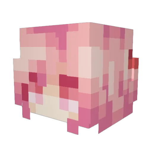 GavinM987654 Minecraft avatar head, 3D render