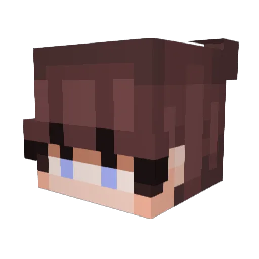 Gavin_ThePerson Minecraft avatar head, 3D render