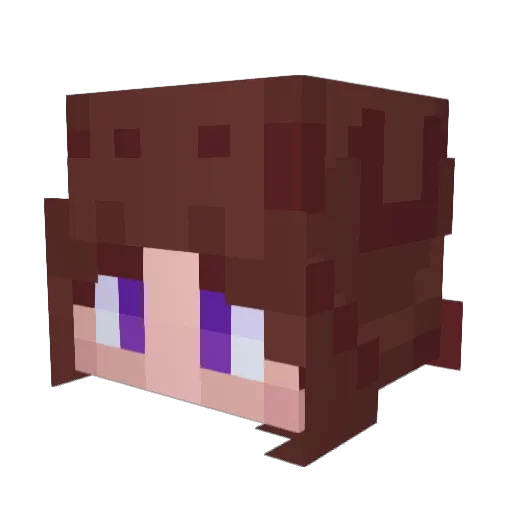 Gavioy Minecraft avatar head, 3D render