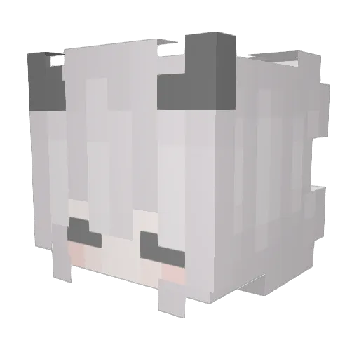 Gavr929 Minecraft avatar head, 3D render