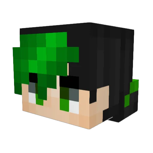 Gavrn14 Minecraft avatar head, 3D render