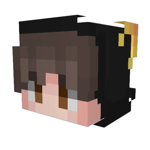 Gavyns Minecraft avatar head, 3D render