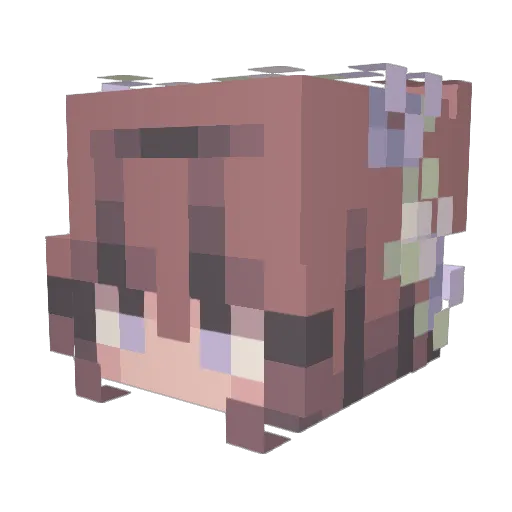 GawrRofey Minecraft avatar head, 3D render
