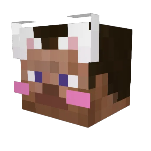 Gawron1811 Minecraft avatar head, 3D render