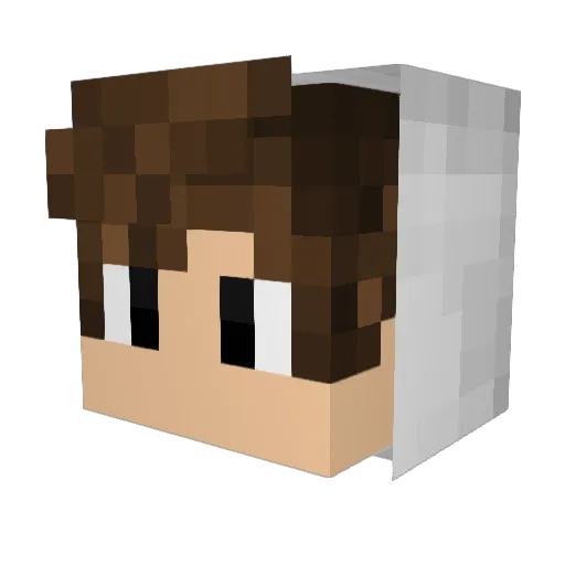 Gawron_B6 Minecraft avatar head, 3D render