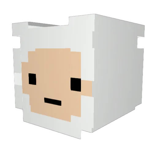 Gaxa Minecraft avatar head, 3D render
