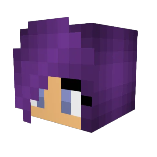 GayAutism Minecraft avatar head, 3D render