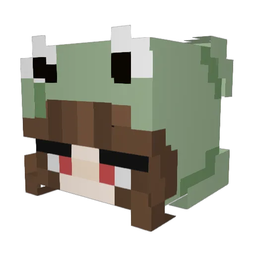 GayBaye Minecraft avatar head, 3D render