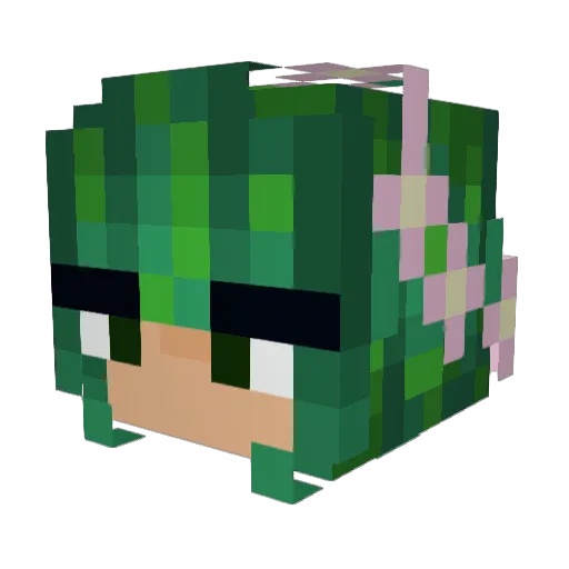 GayCactus6 Minecraft avatar head, 3D render