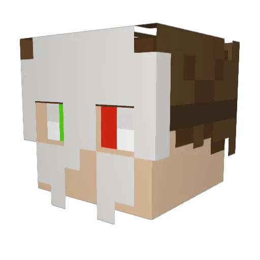 GayDisaster0204 Minecraft avatar head, 3D render