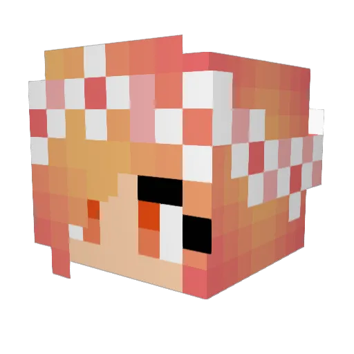 GayFurryAss Minecraft avatar head, 3D render