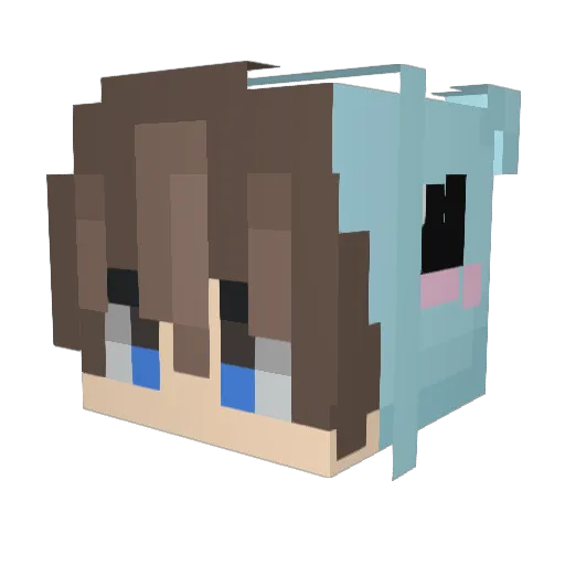 GayRacist Minecraft avatar head, 3D render