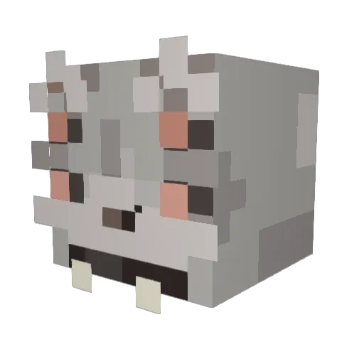 Gay_Crusader420 Minecraft avatar head, 3D render