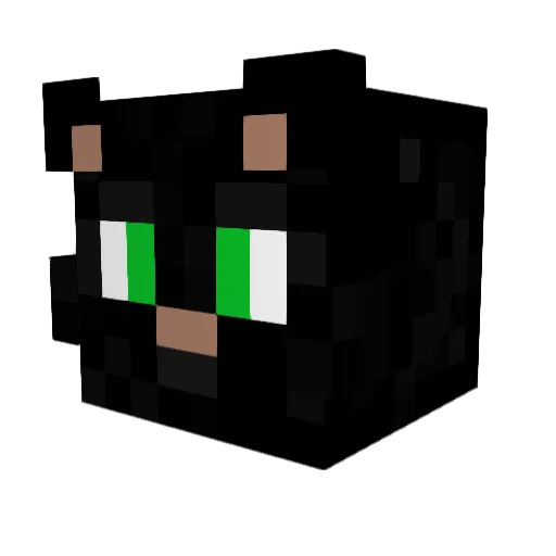Gaybama_ Minecraft avatar head, 3D render