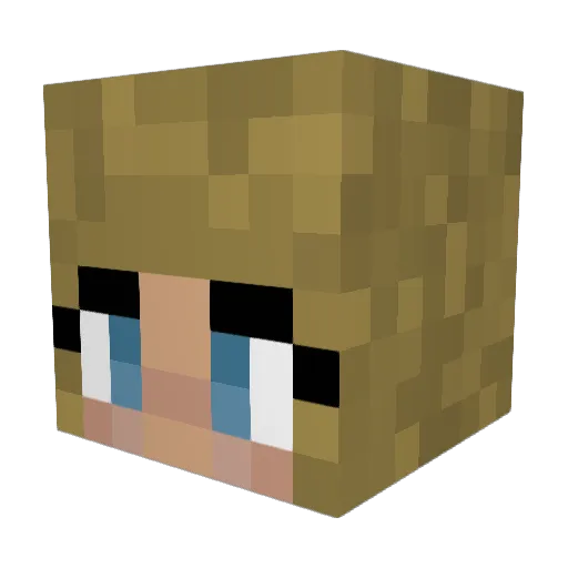 Gaybieu Minecraft avatar head, 3D render