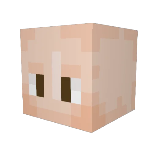 Gayboom2002 Minecraft avatar head, 3D render