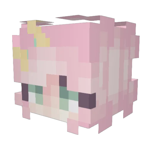 Gaygammer Minecraft avatar head, 3D render