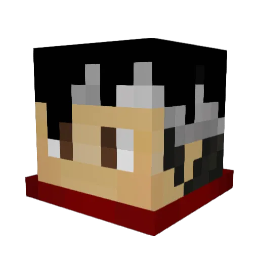 Gaymerboi11 Minecraft avatar head, 3D render