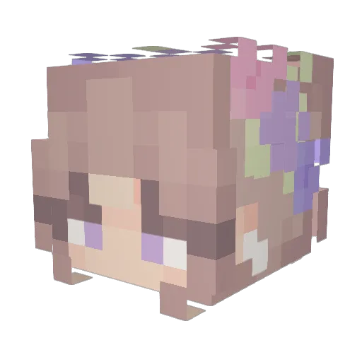Gayseashells_ Minecraft avatar head, 3D render