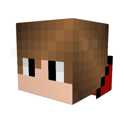 GayyTea Minecraft avatar head, 3D render