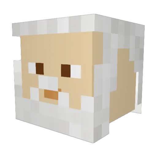 Gazastan Minecraft avatar head, 3D render
