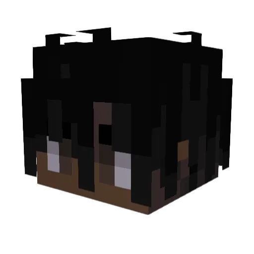 Gball4785 Minecraft avatar head, 3D render