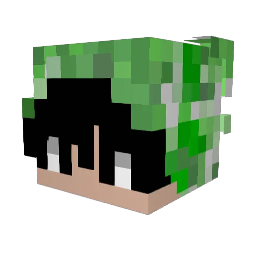 Gbarlette Minecraft avatar head, 3D render