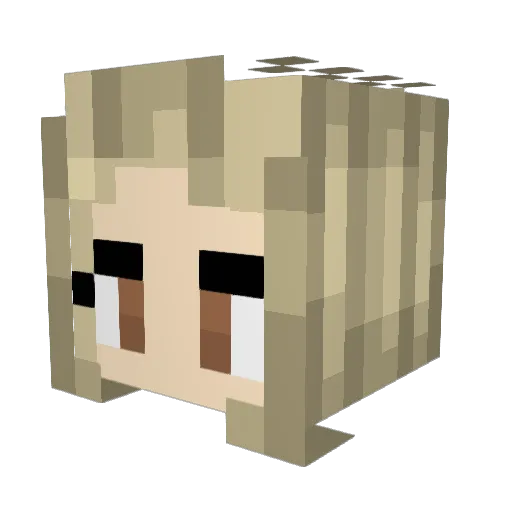 Gbear27 Minecraft avatar head, 3D render