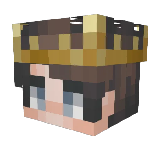 Gcastro1902 Minecraft avatar head, 3D render