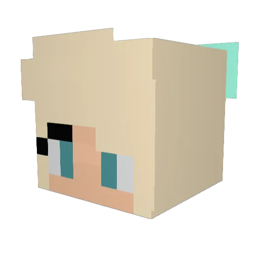 Gcat27 Minecraft avatar head, 3D render