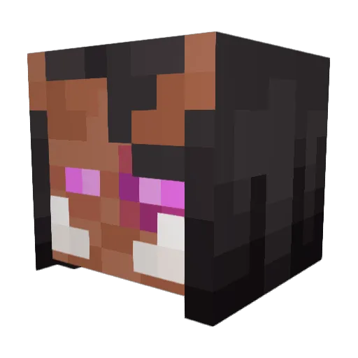Gchnookums Minecraft avatar head, 3D render