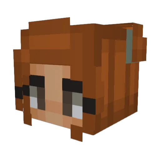 Gdawg1818 Minecraft avatar head, 3D render