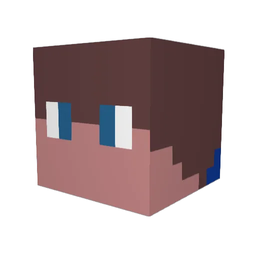 Gdog270 Minecraft avatar head, 3D render