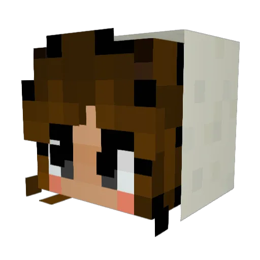 Minecraft-Avatar von Ge1i: Kopf als 3D-Render