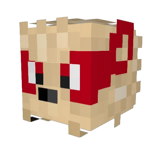 GeT_FupPeD Minecraft avatar head, 3D render