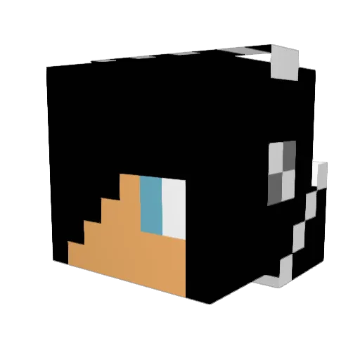 GeT_ReKtt Minecraft avatar head, 3D render