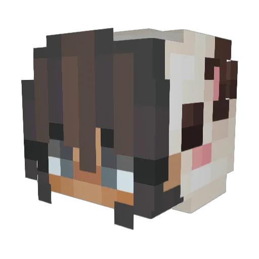 Gebbish Minecraft avatar head, 3D render