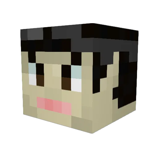 Geckinrude Minecraft avatar head, 3D render