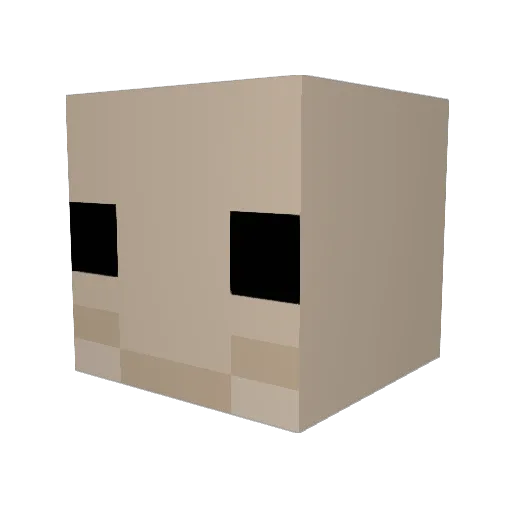 Gecko5644 Minecraft avatar head, 3D render