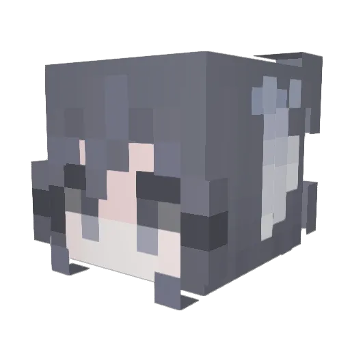 Geckoats Minecraft avatar head, 3D render