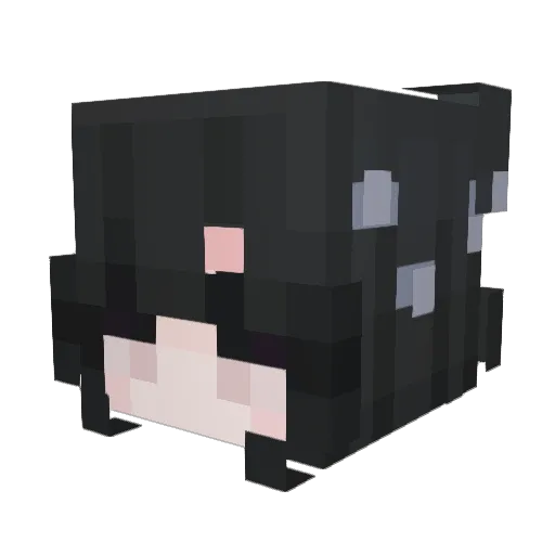 Geddwynn Minecraft avatar head, 3D render