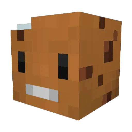 Gee1005 Minecraft avatar head, 3D render