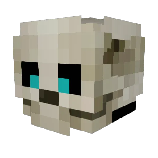 GeeWiz1116 Minecraft avatar head, 3D render