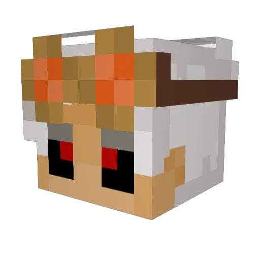 GeekSheekNerd Minecraft avatar head, 3D render