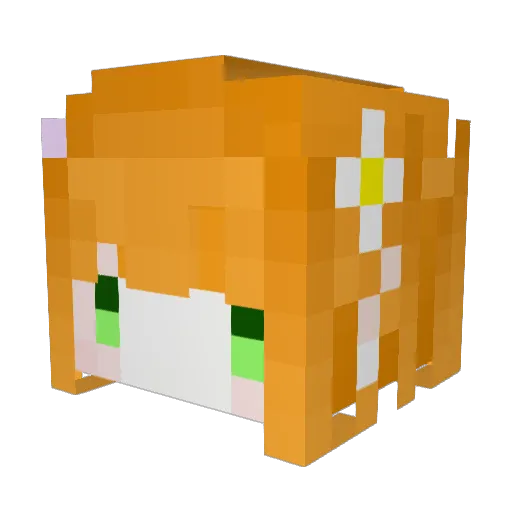Geekorp2Wish Minecraft avatar head, 3D render