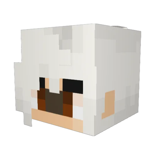 GeenSousLSD Minecraft avatar head, 3D render