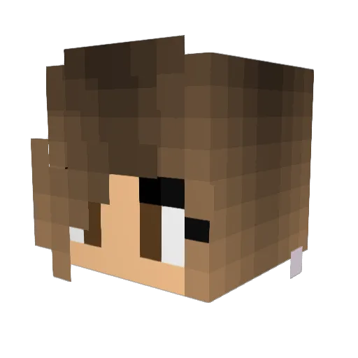 Geeplug_ Minecraft avatar head, 3D render