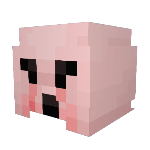 Geewizii Minecraft avatar head, 3D render